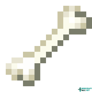 bone.png