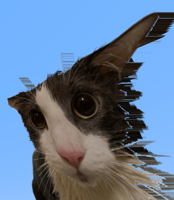 Soggy Cat on main hand