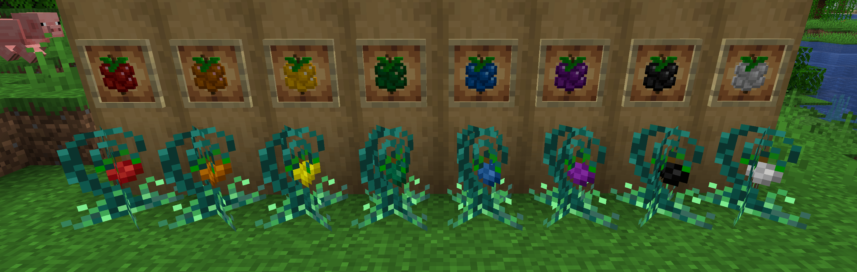 Thumbnail Sourceberries can be dyed and then farmed... like sheep