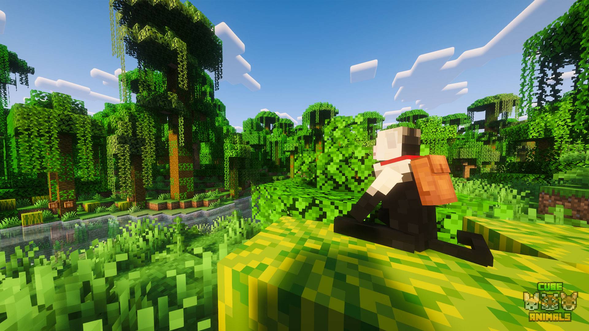 Tamed capuchin thinking about life