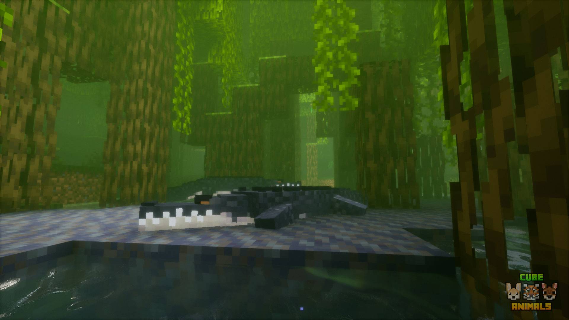 Crocodiles laying in the mud