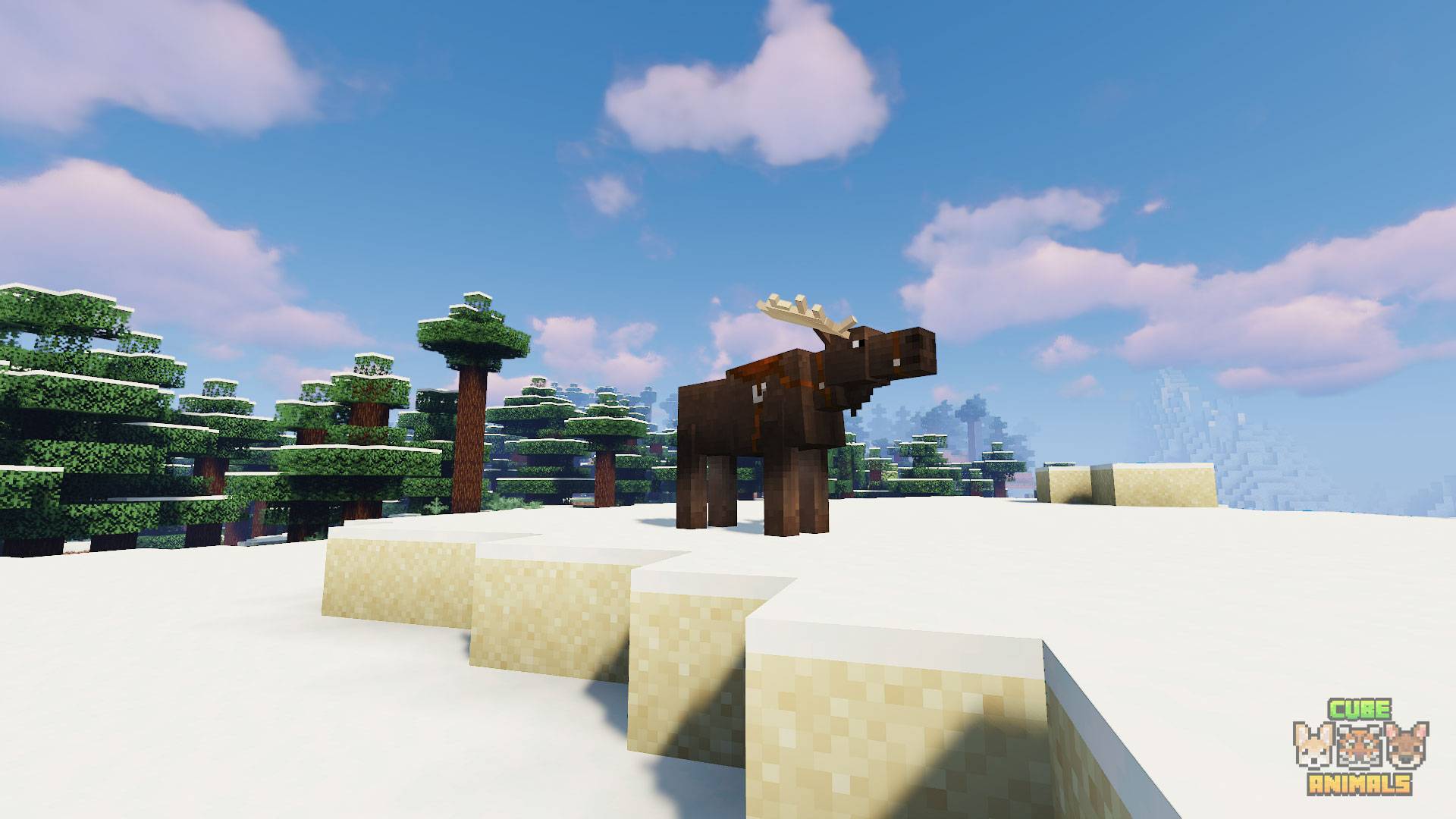 Moose with saddle