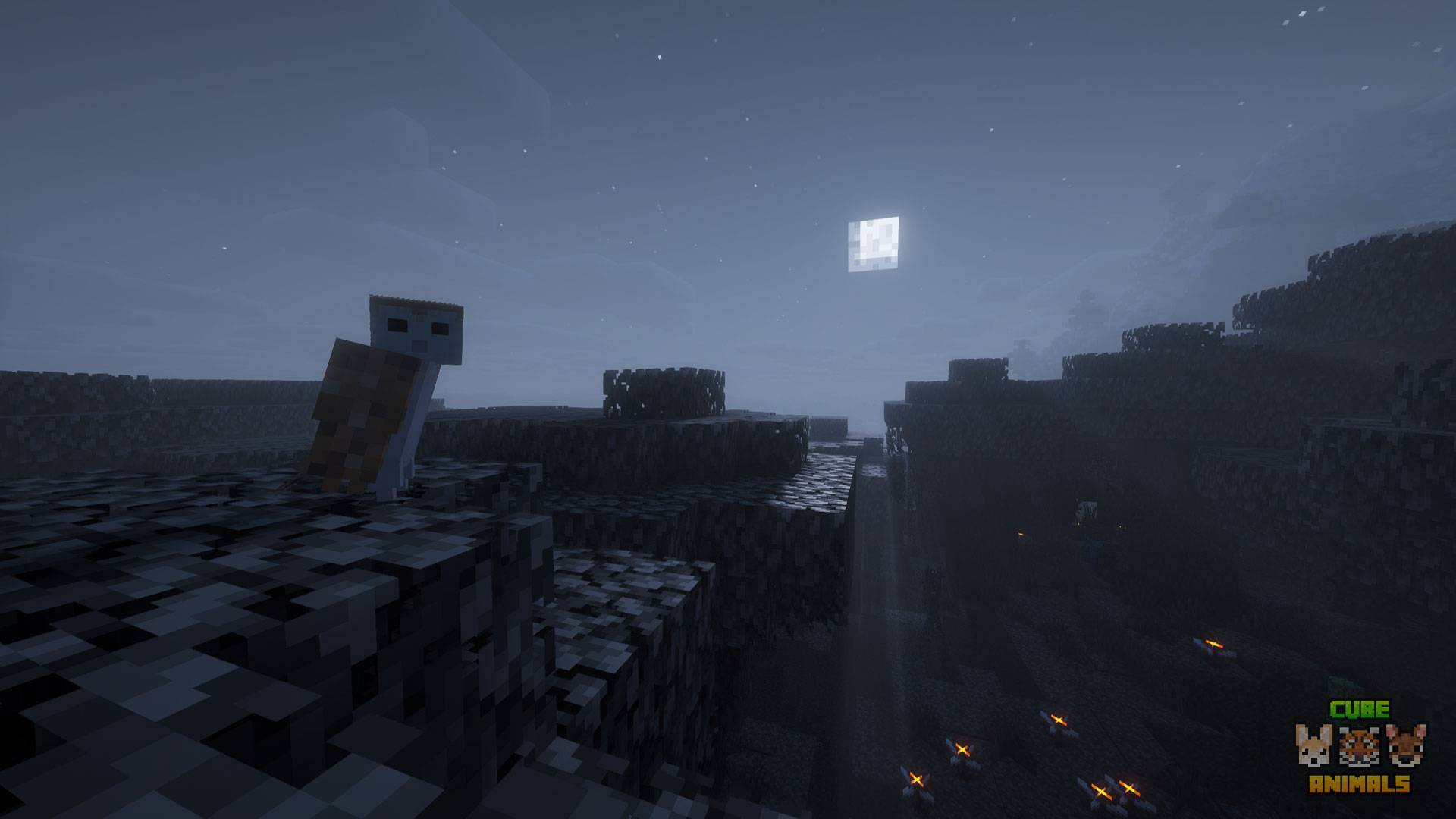 Barn owl scaring players
