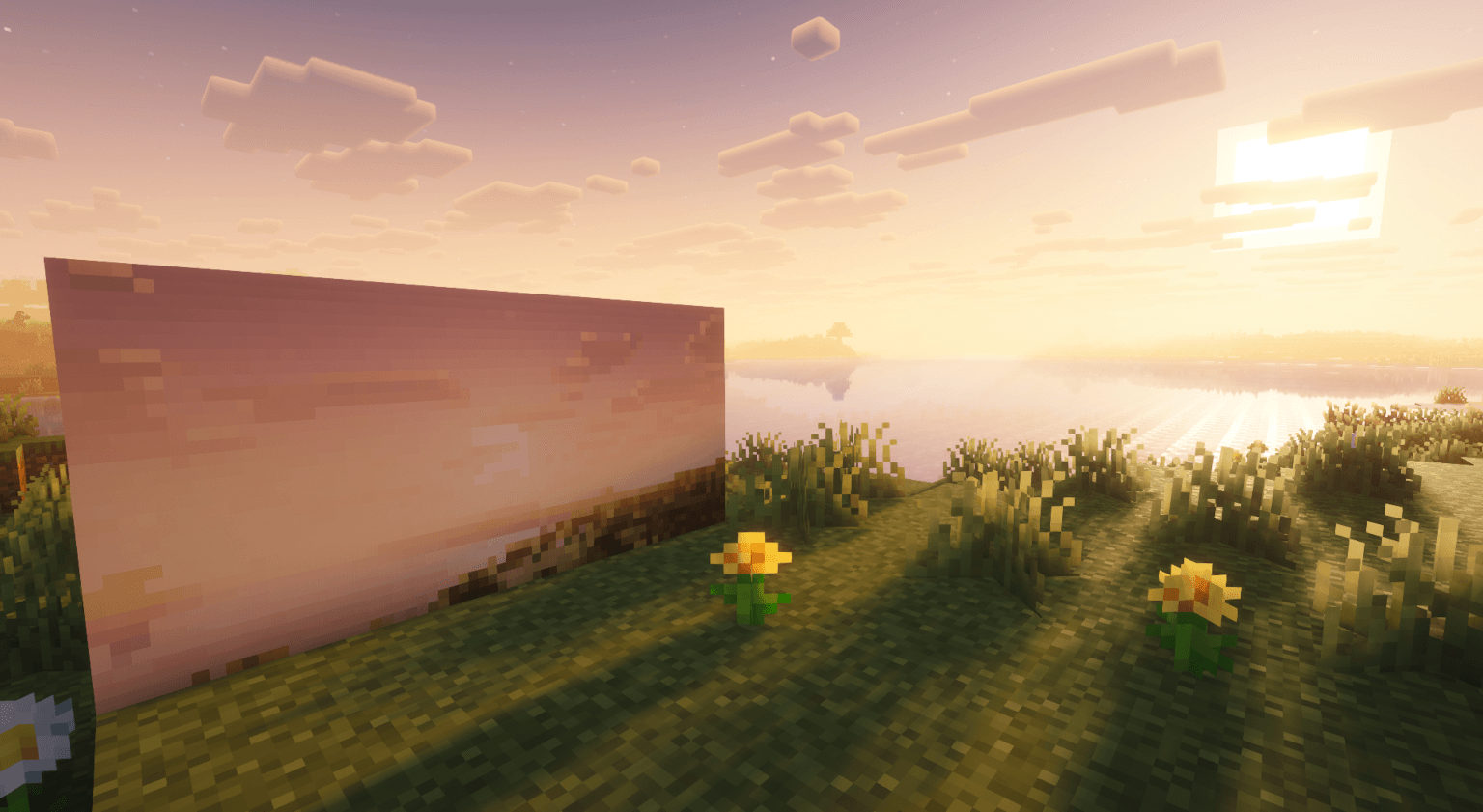 image1.png