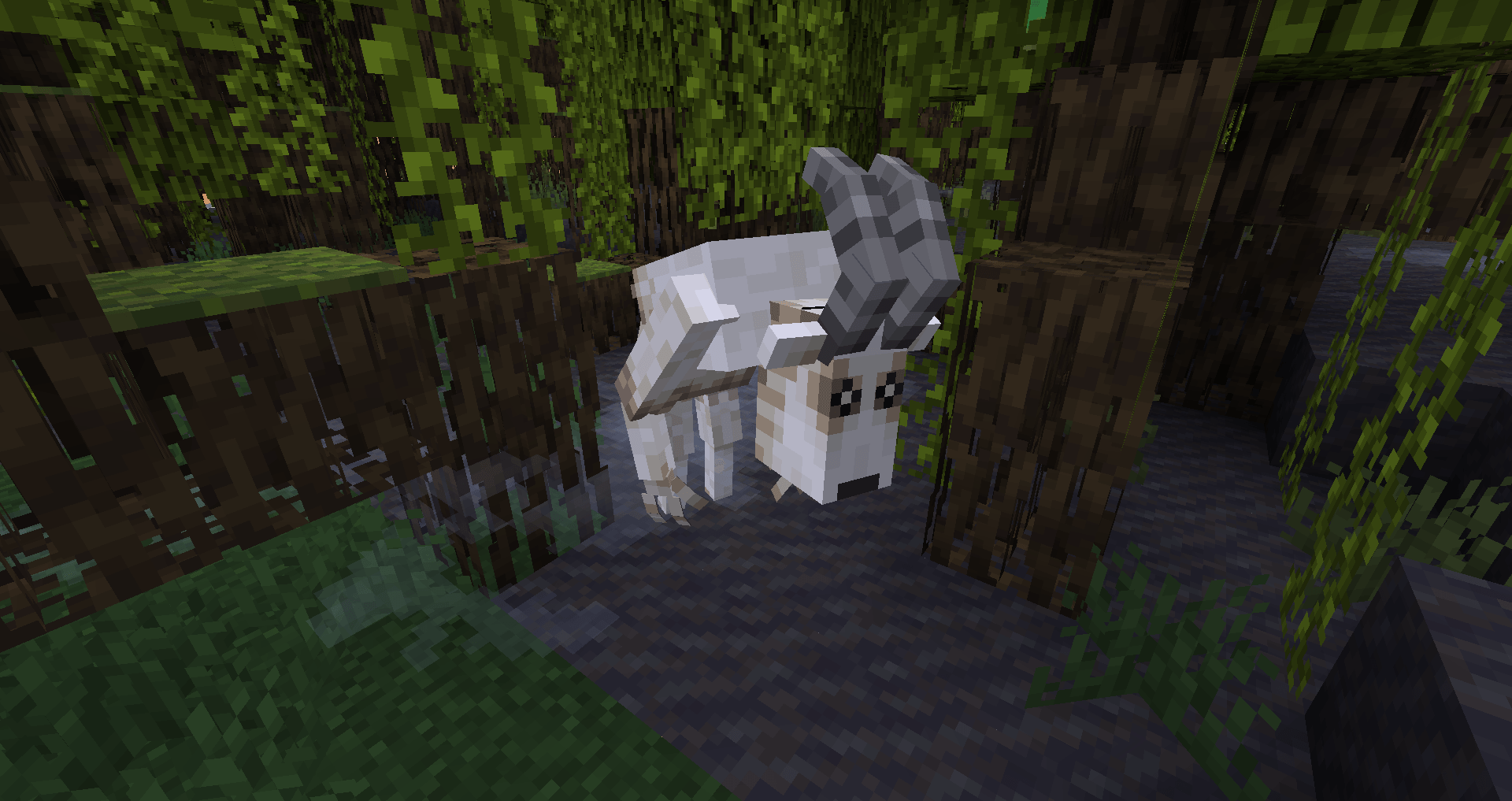Thumbnail 2026-05-24_15.40.54.png