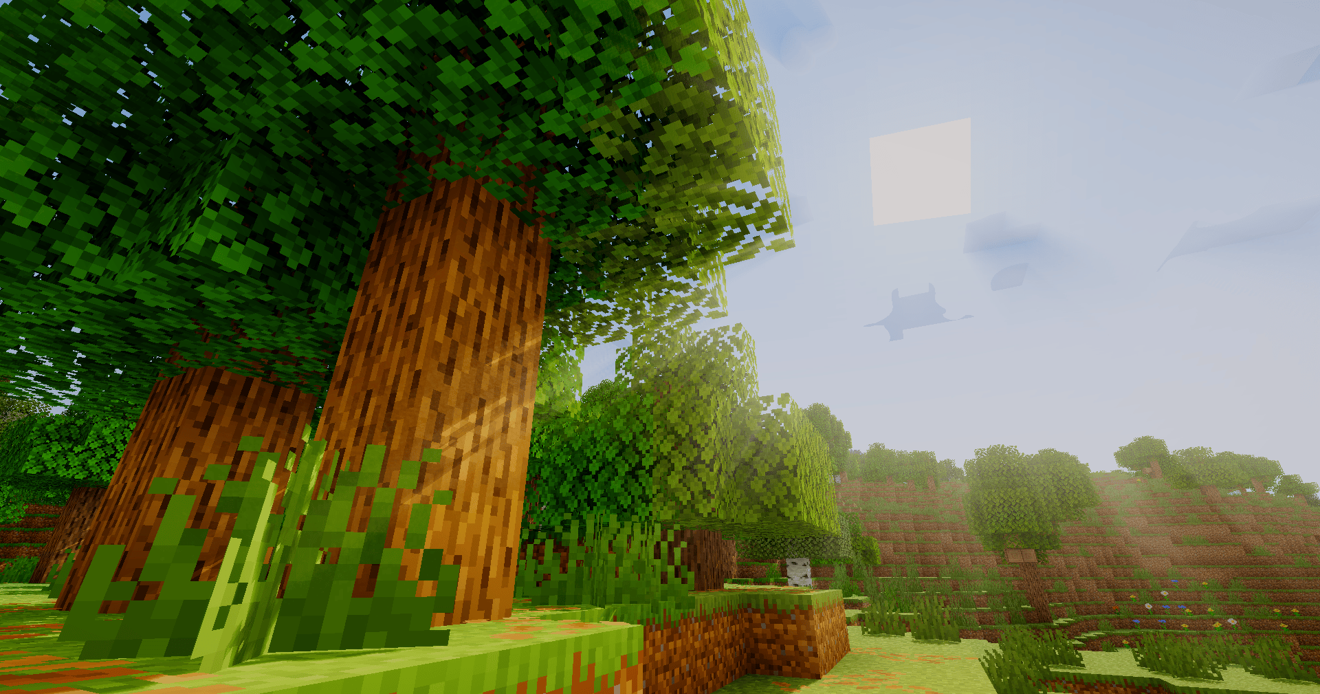 913e43a2aa44b7b3b0e94cd969cfb8a8cf6bd89e.png