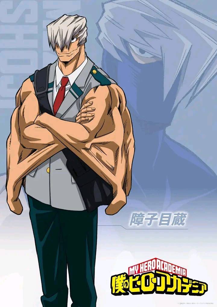 Mezo Shoji.jpg