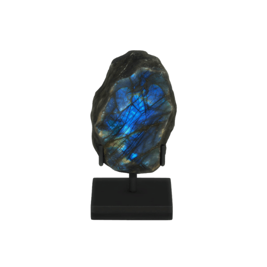 2605 New Object (3).png