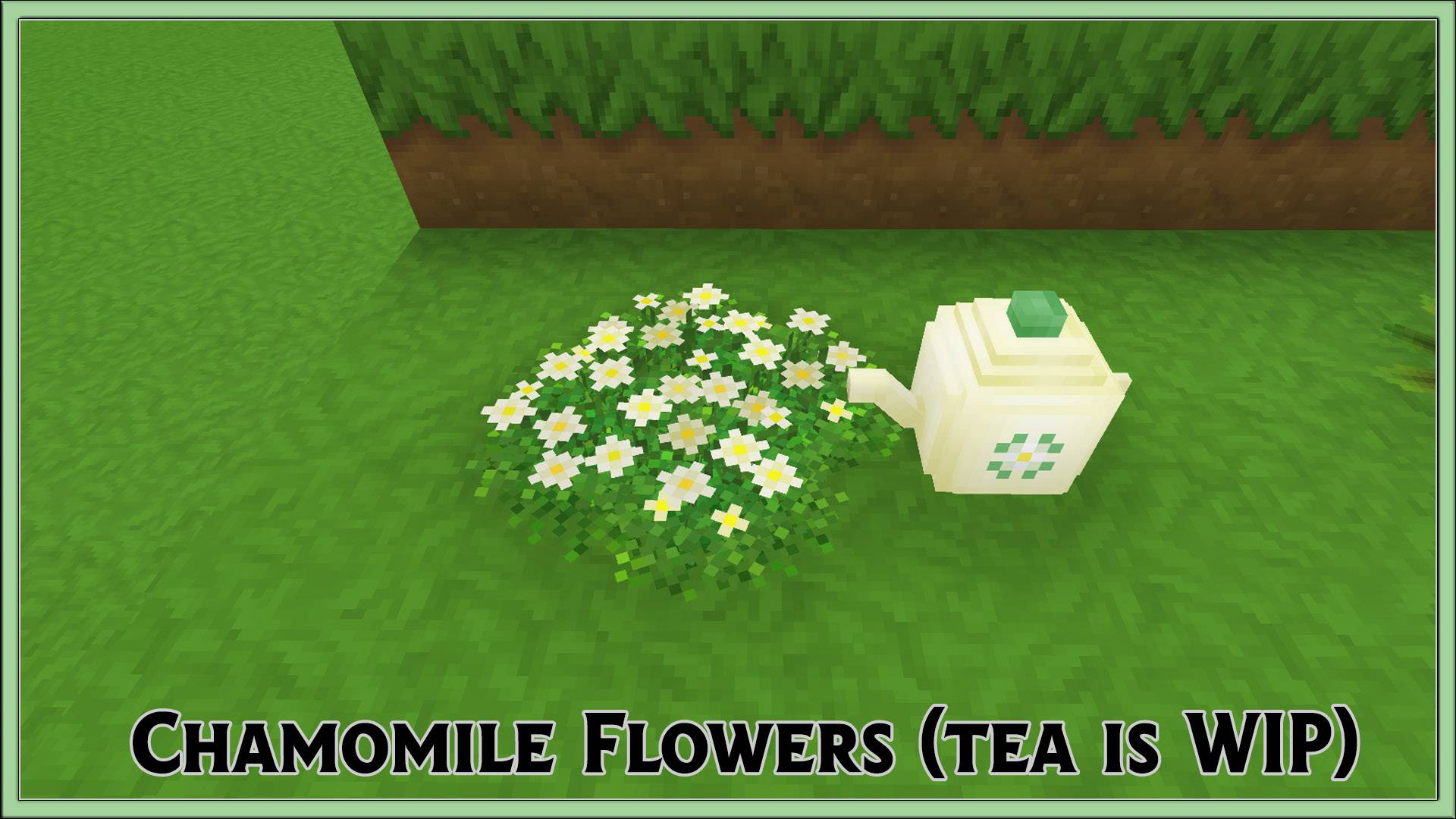 Thumbnail LostGarden_chamomile.jpg