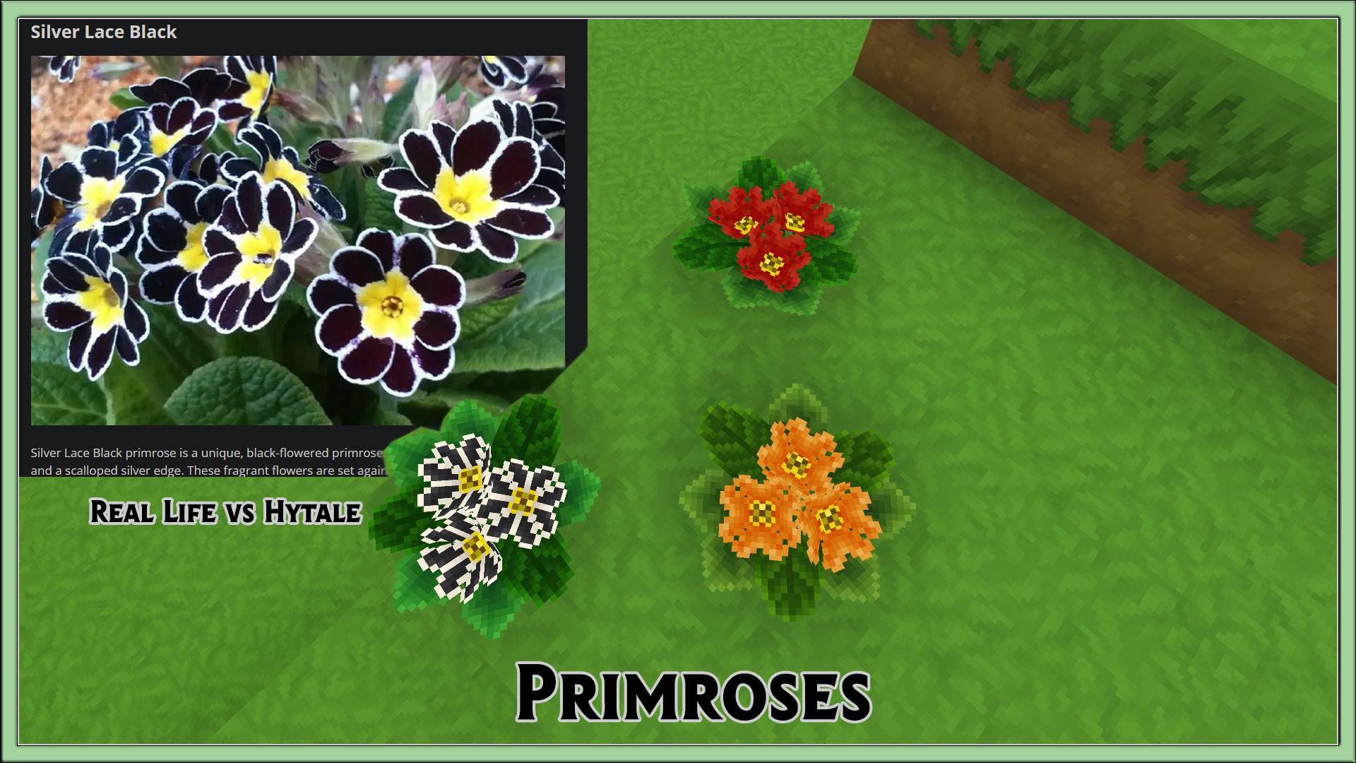 Thumbnail LostGarden_Primroses.jpg