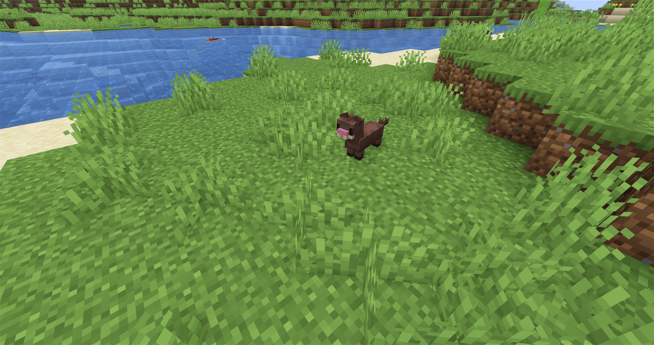 Mink Spawn Location