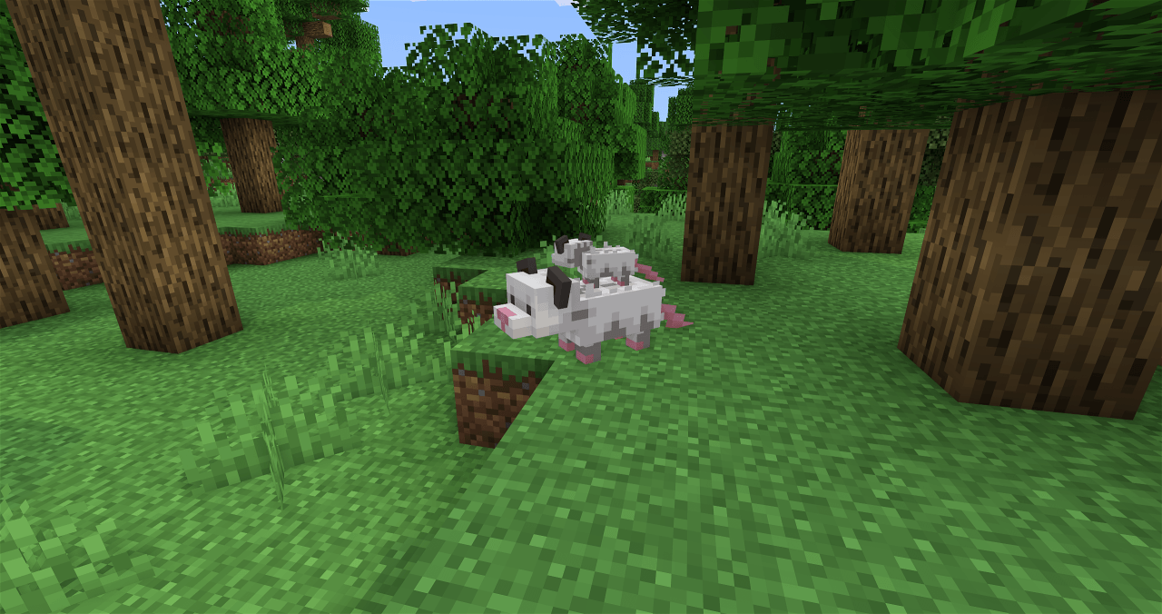 Baby opossum riding its parent