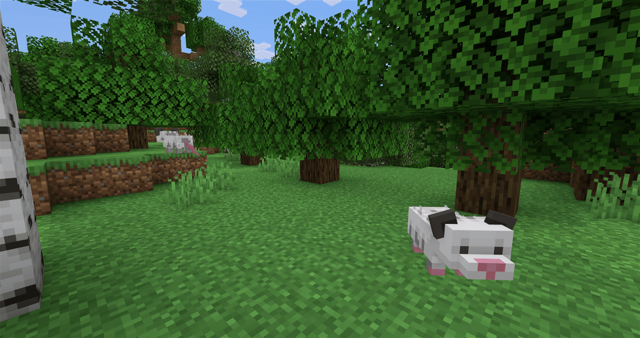 Opossum spawn location