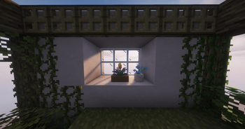 Flower Pots on a House