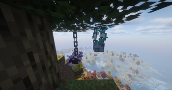 Hanging flower pots.