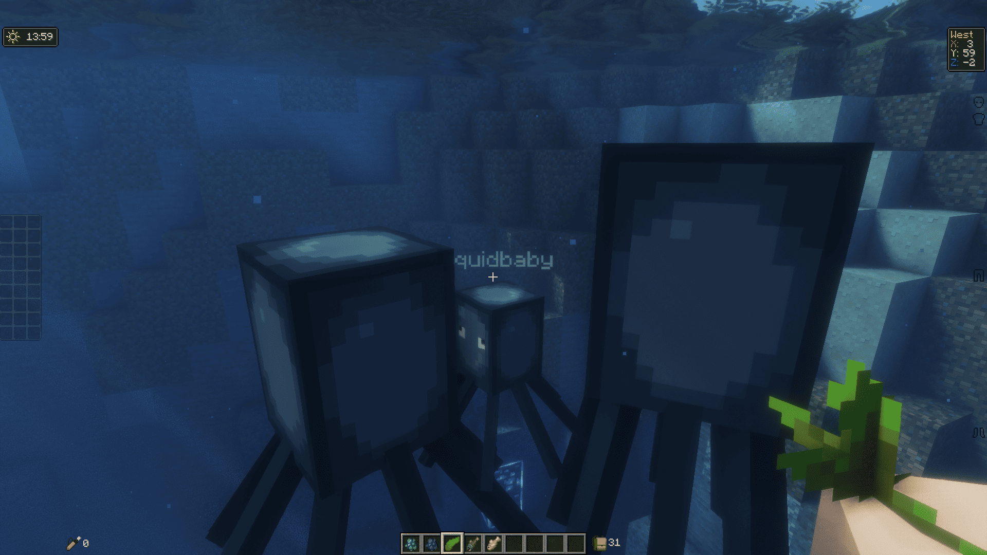 Three Squid