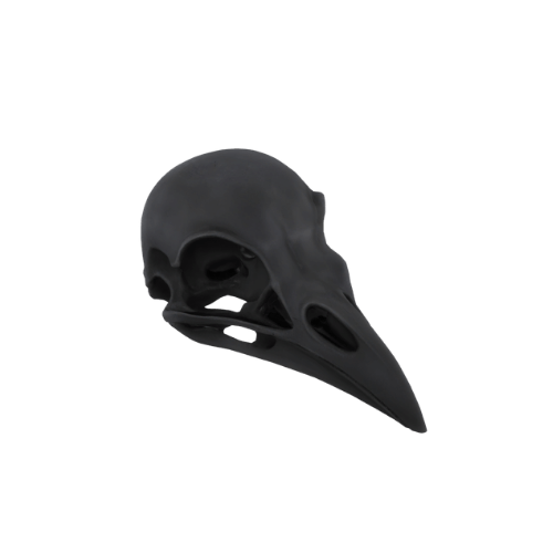 2905 new object (1).png