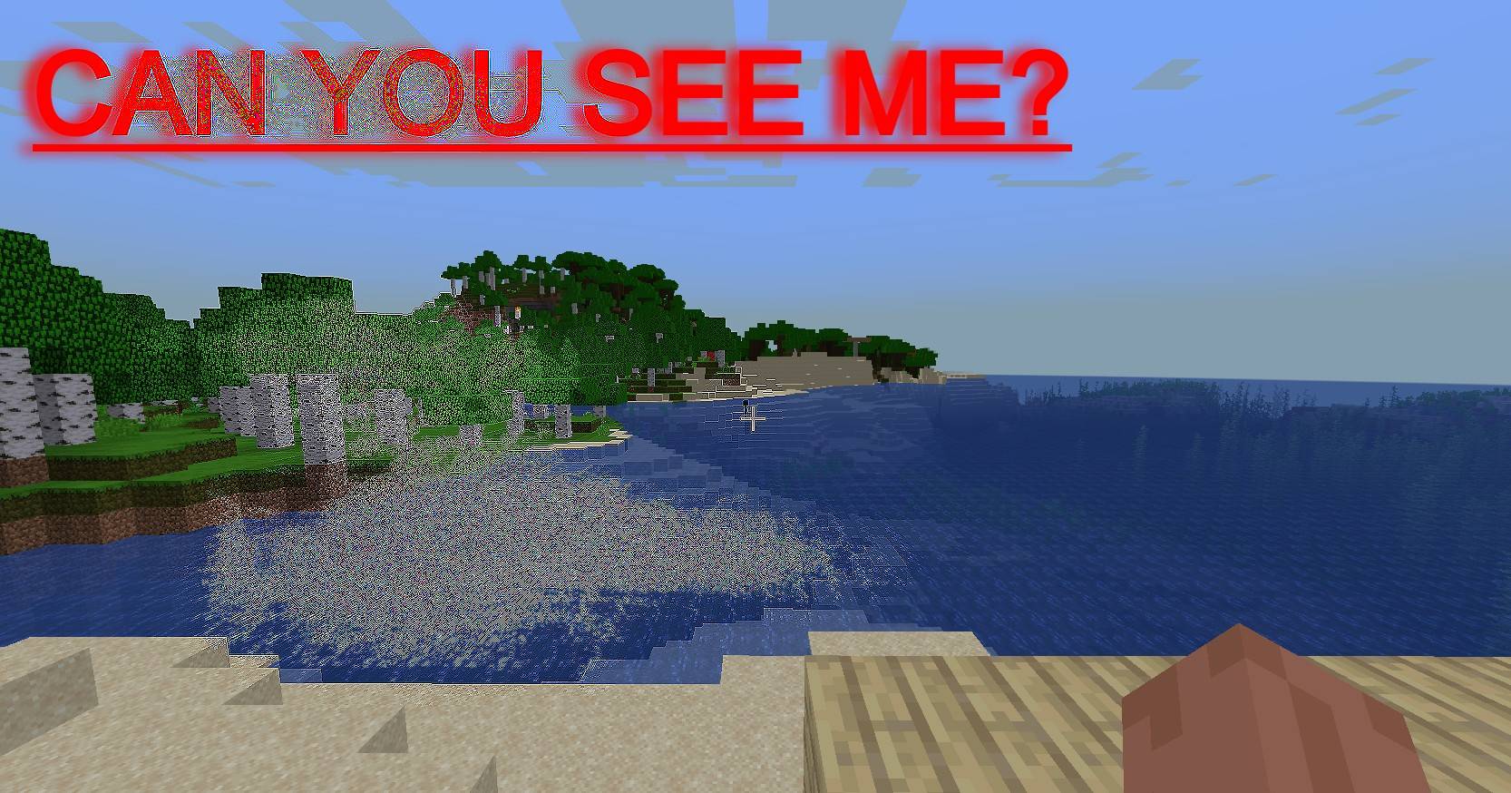 i play in singleplayer?