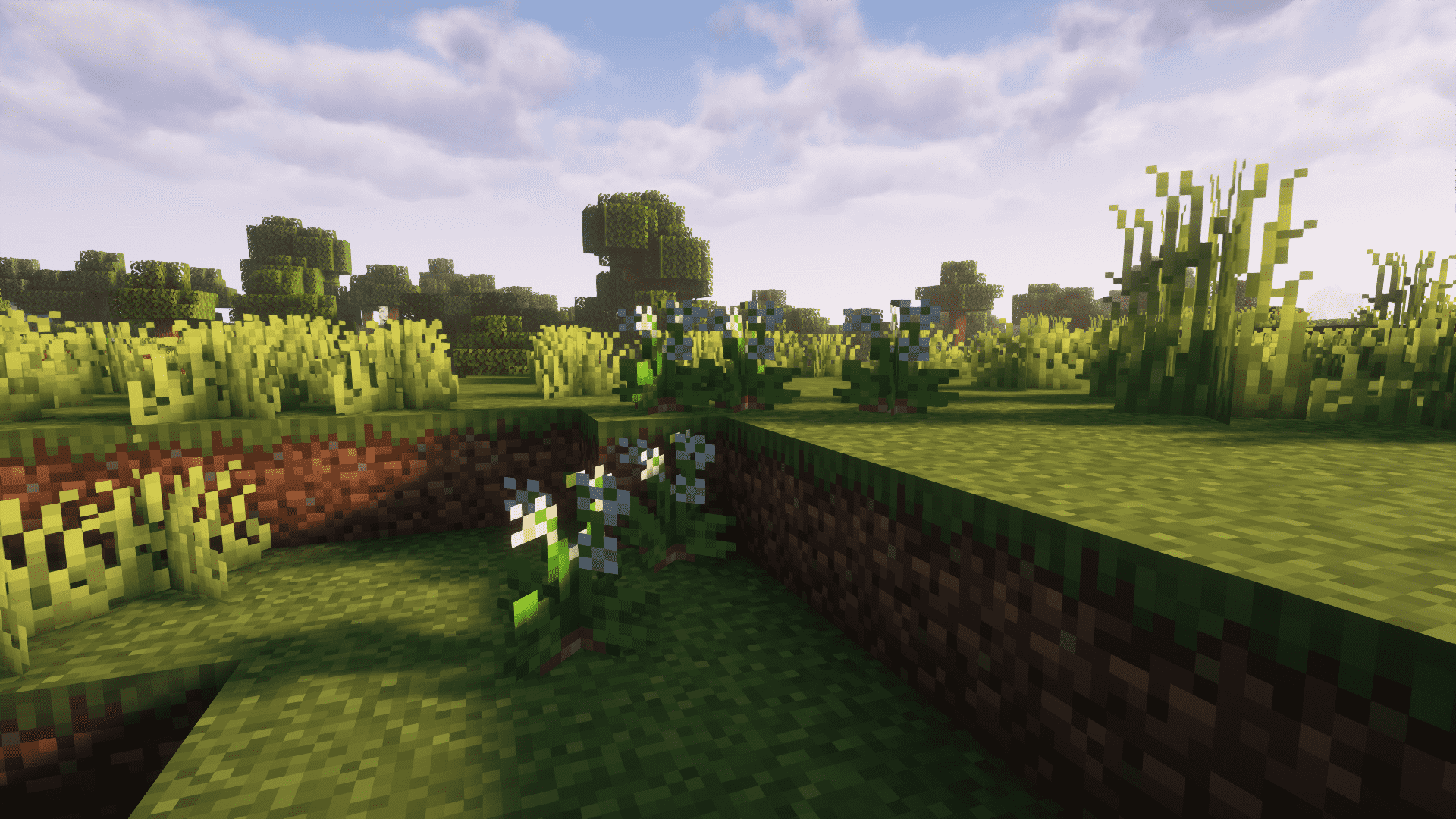 wild_garlic_spawning.png