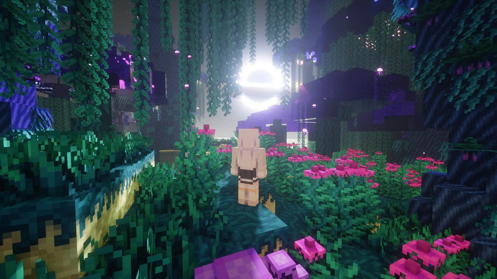 Screenshot 2026-05-30 023111.webp