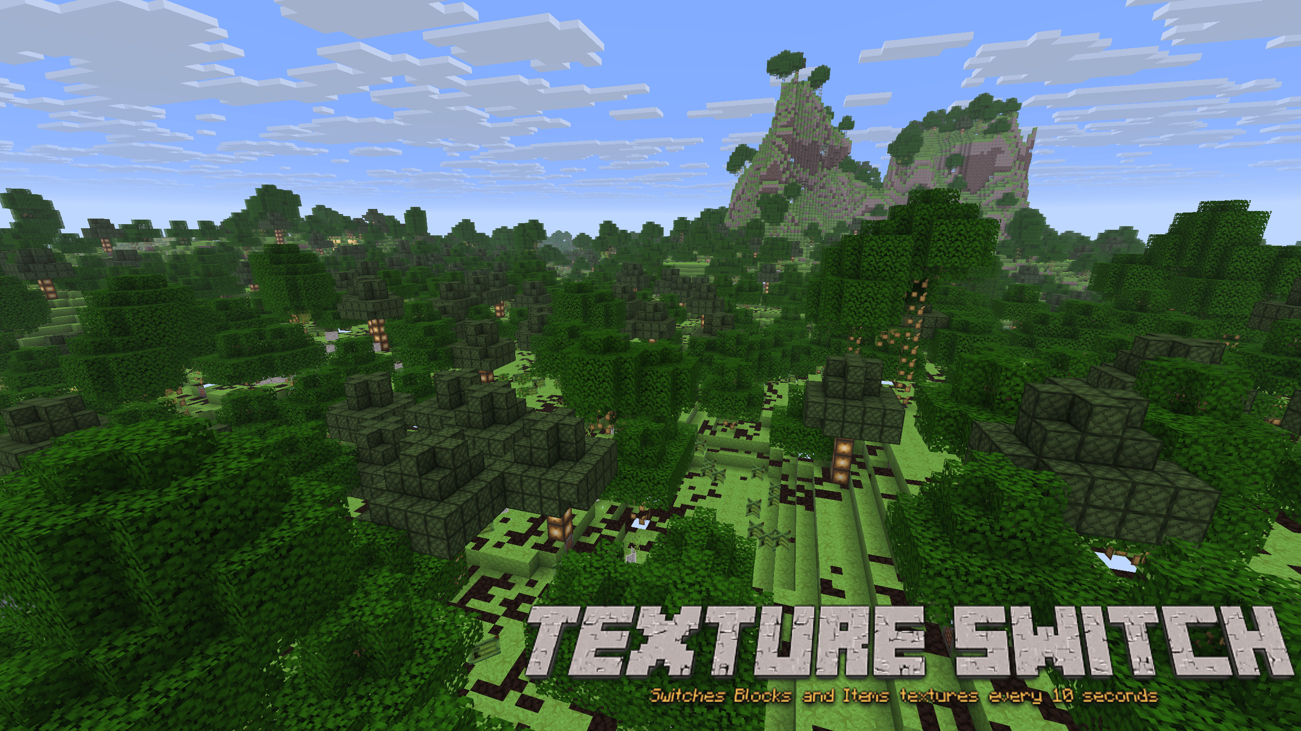 Texture Switch Image