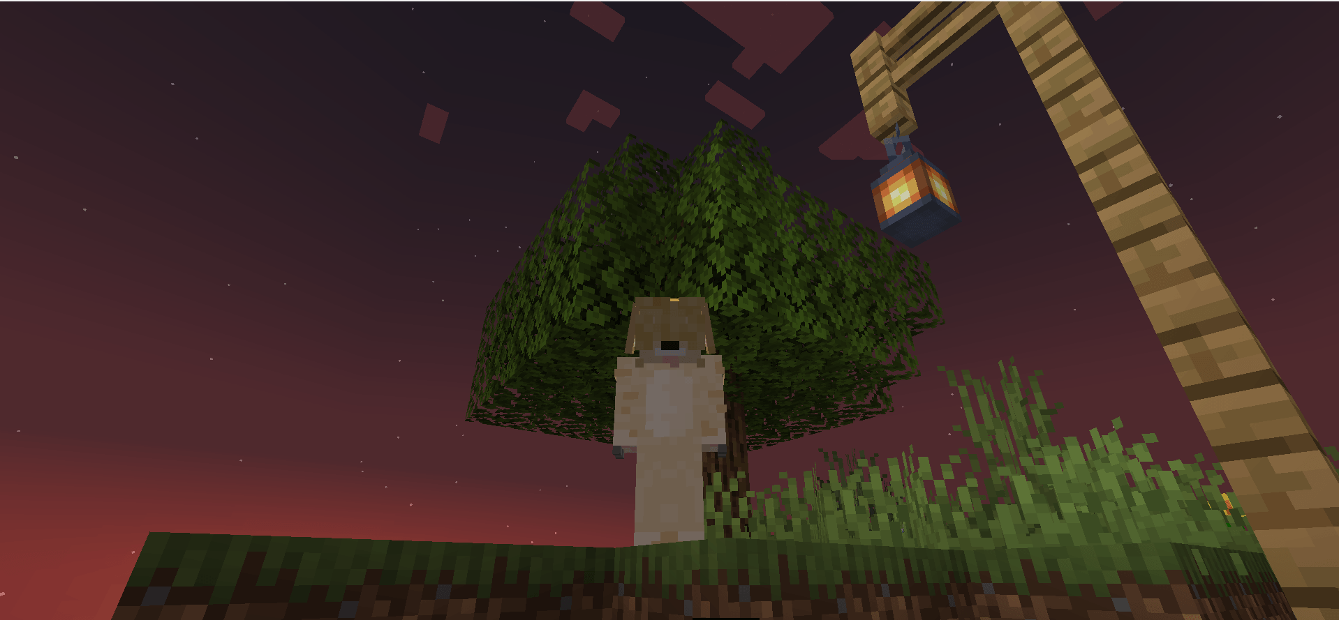 Looks nice