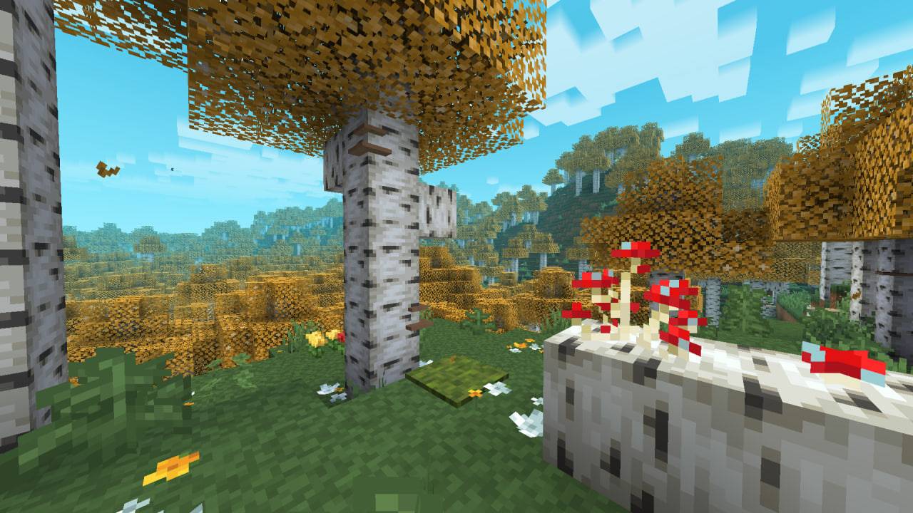 Birch forest