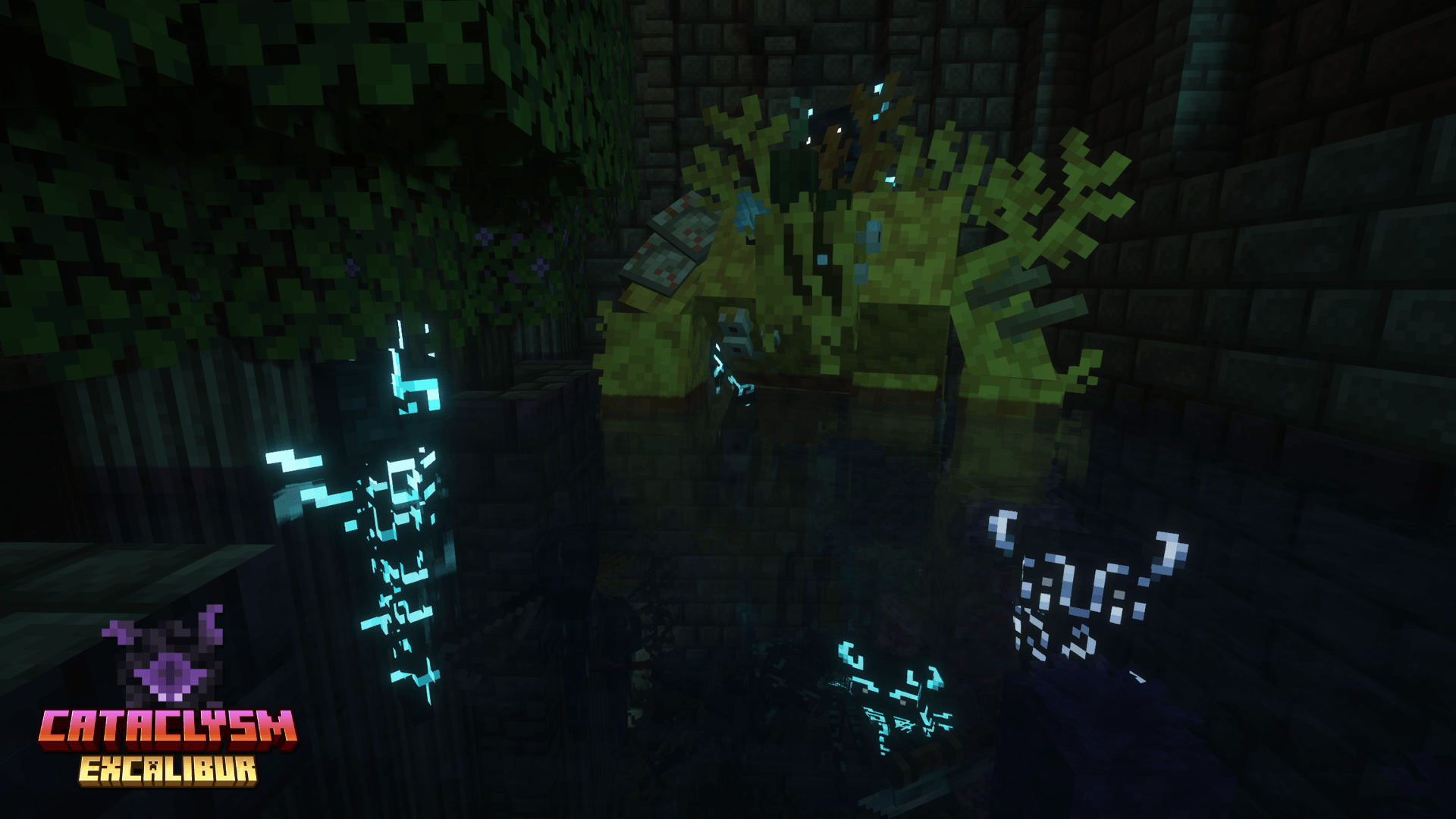 Coralssus. A living monument to the sea's power.