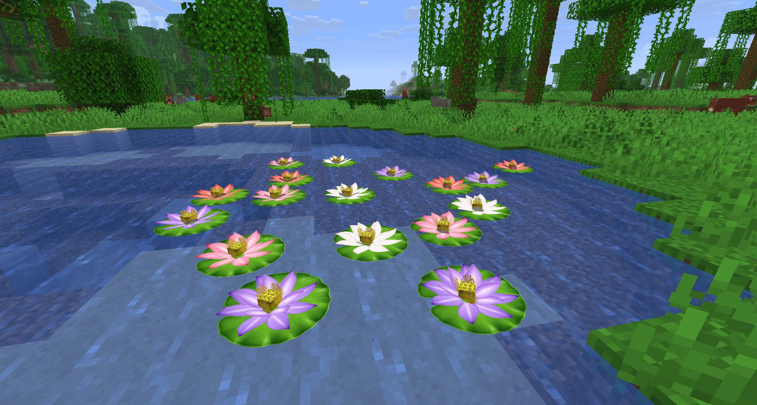 Four colorful lotus flower variants decorating a peaceful jungle pond.