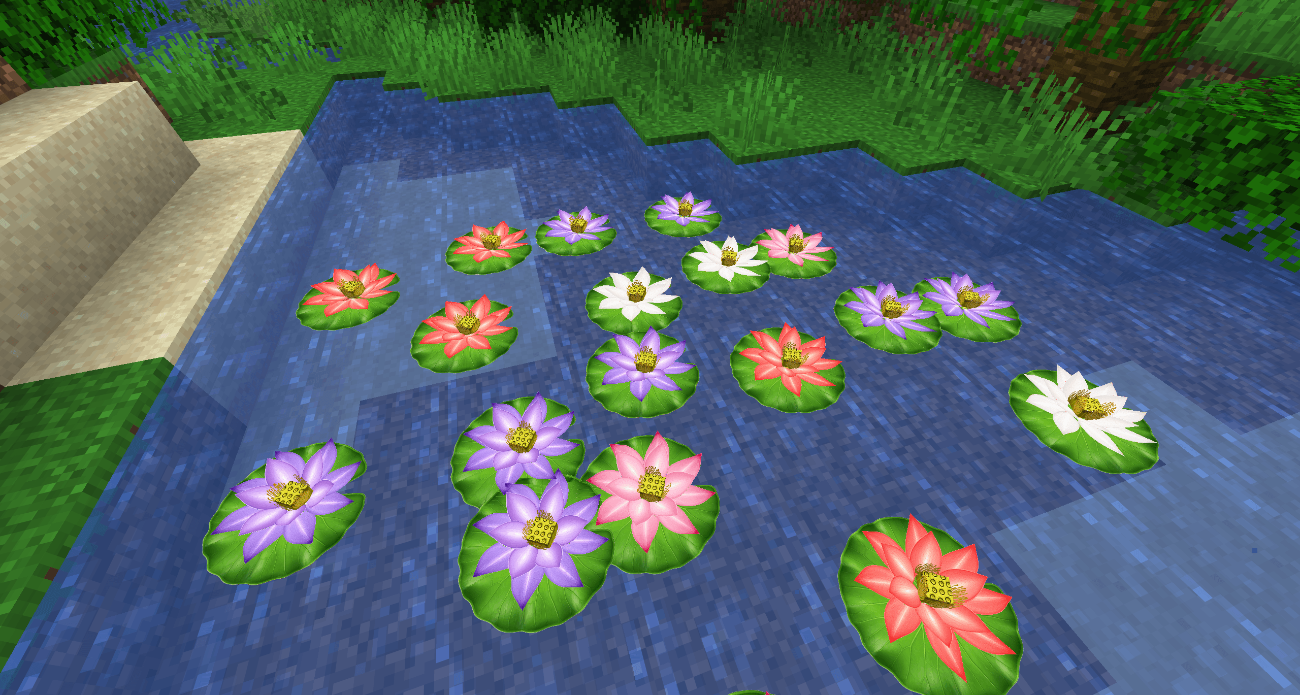 Thumbnail A colorful lotus arrangement for ponds and decorative waterscapes.
