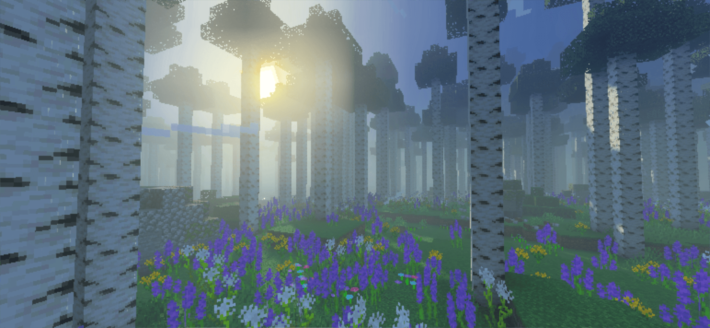 birch_forest.png