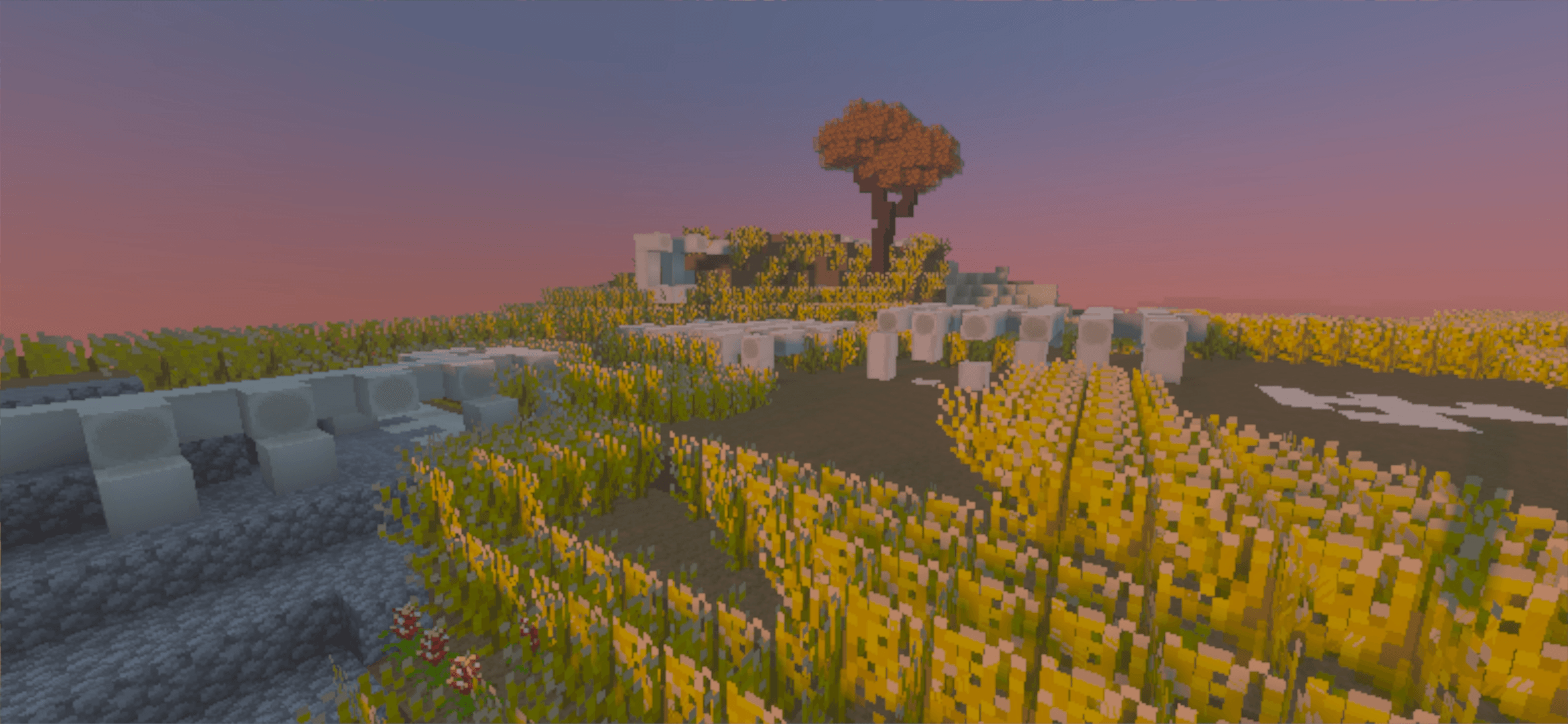 Thumbnail caatinga.png