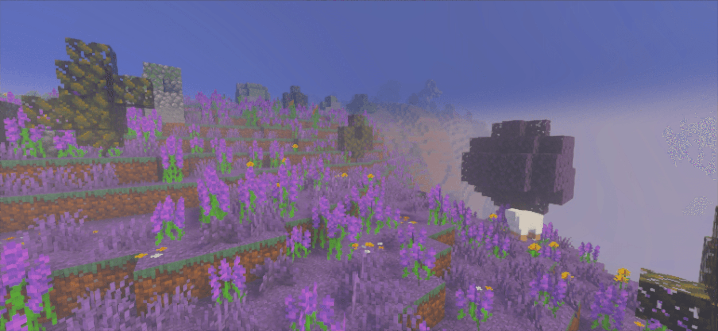 Thumbnail lavender_fields.png