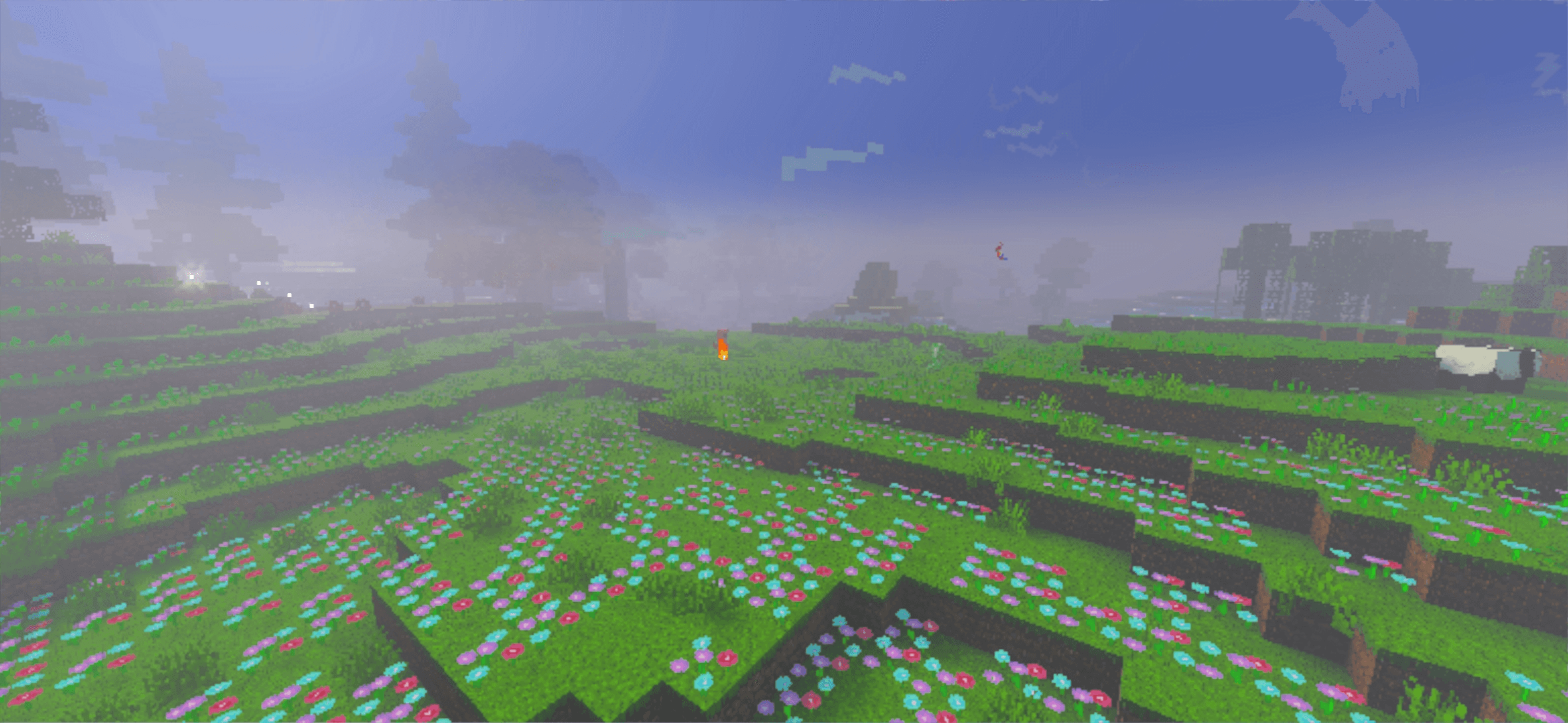 Thumbnail oxalis_fields.png