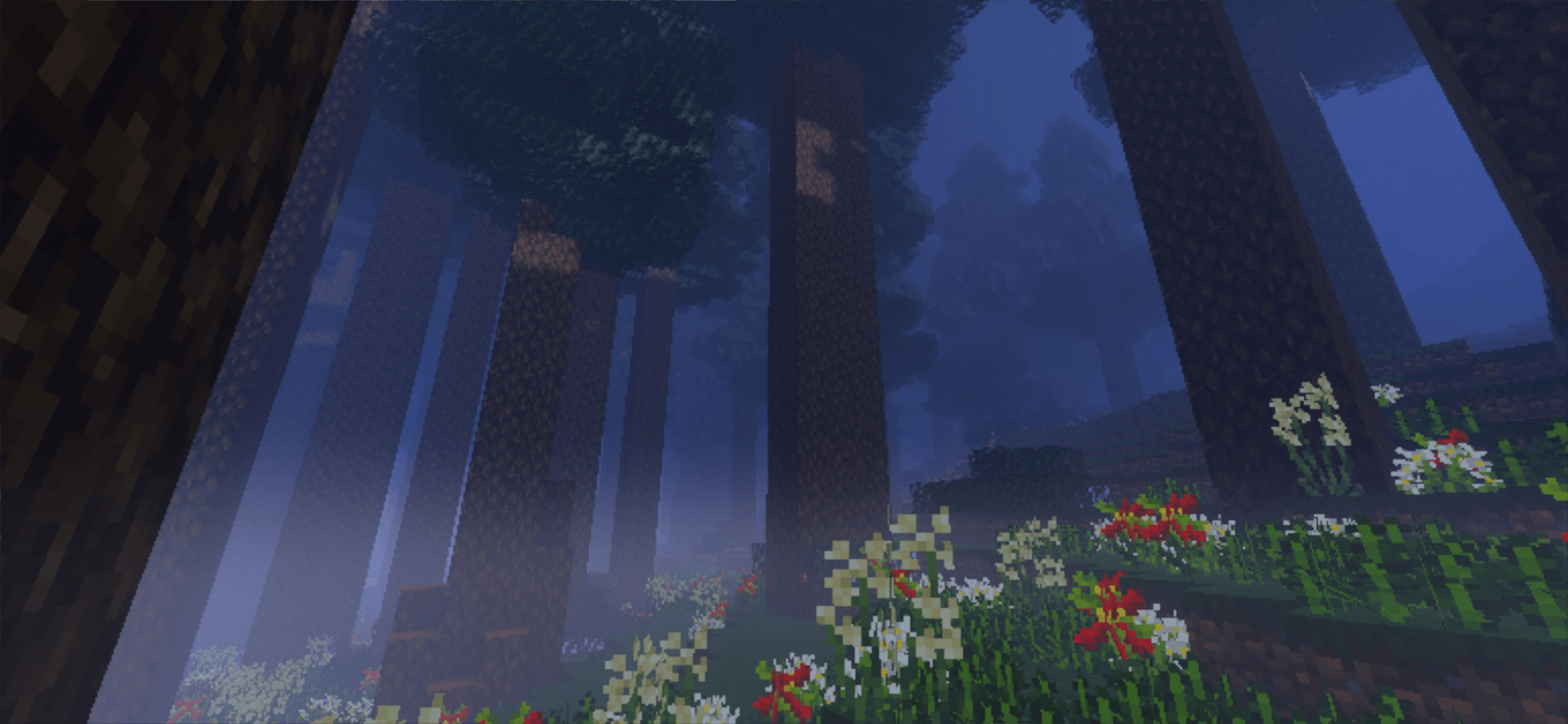 Thumbnail sequoia_forest.png