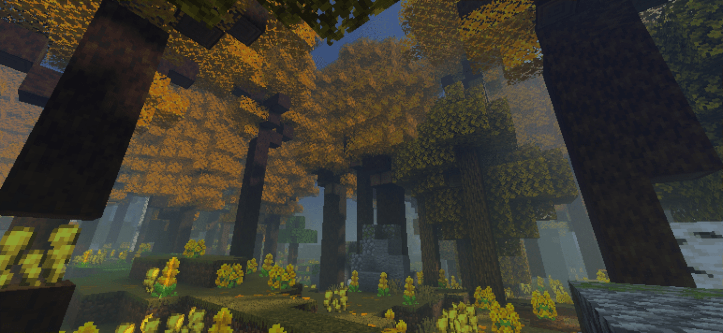 Thumbnail temperate_deciduous_forest.png