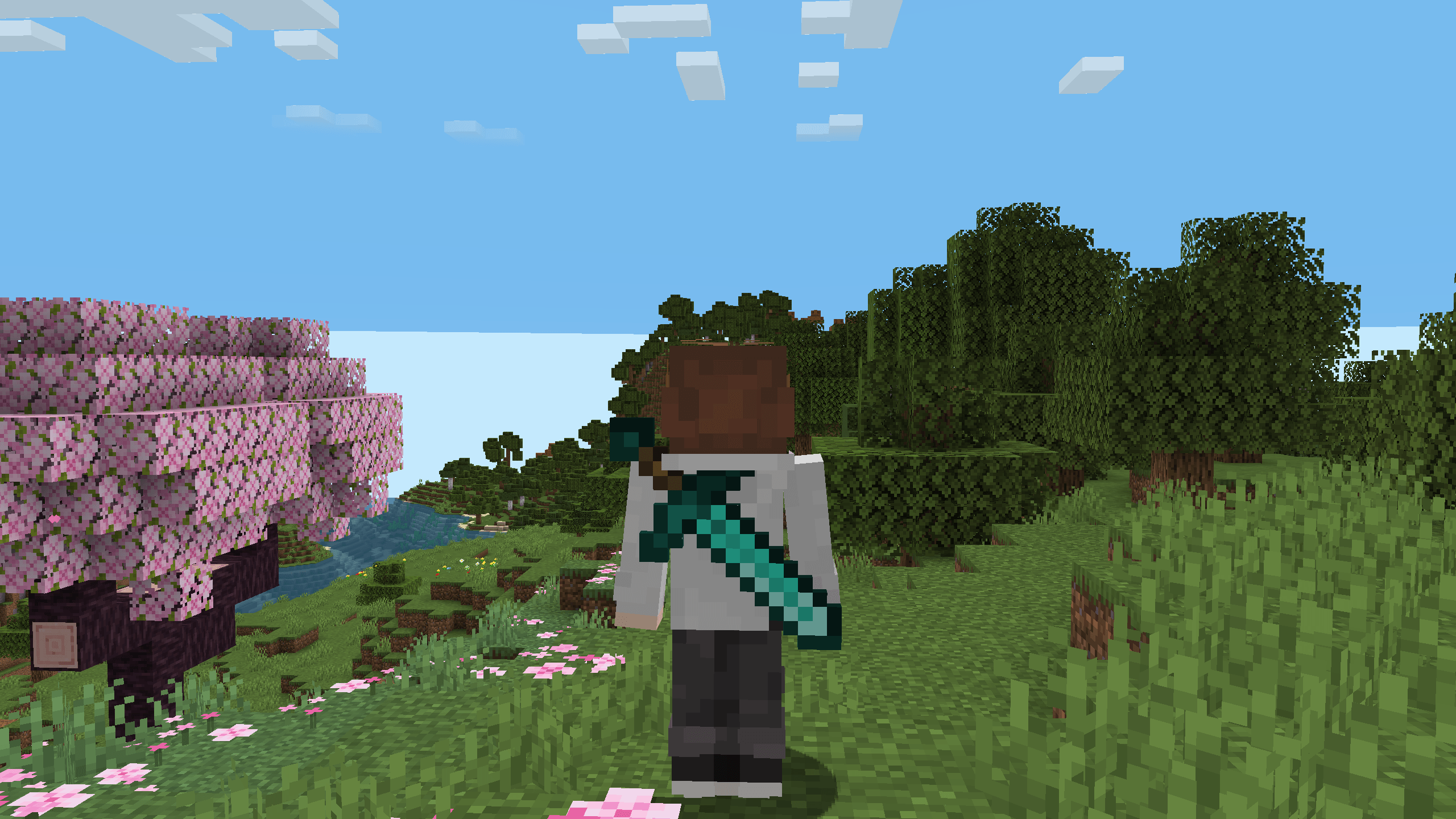Sword on Back