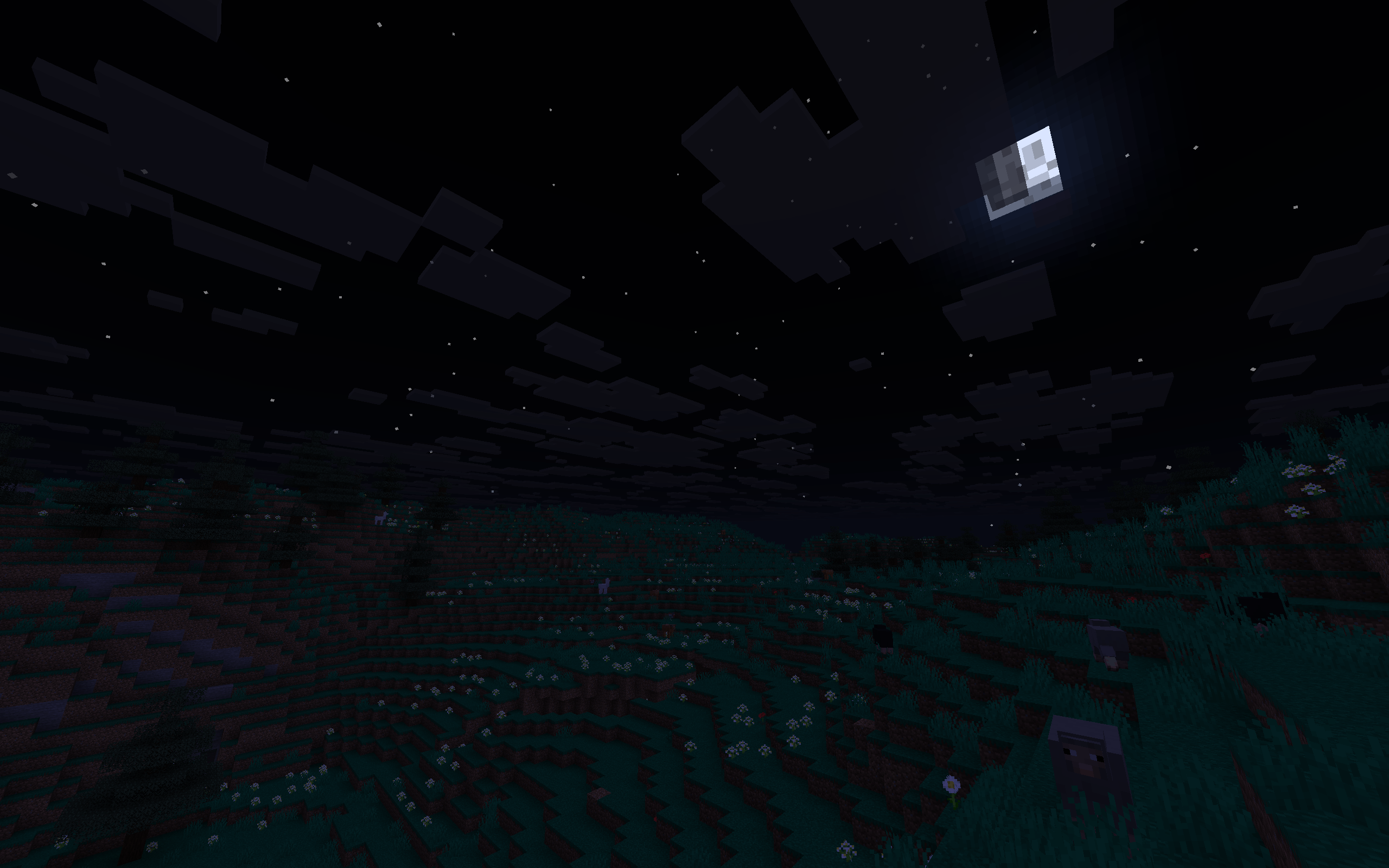During the nighttime, stars will be more bright than in any other biome. But watch out for the Creepers.. they spawn more often here.