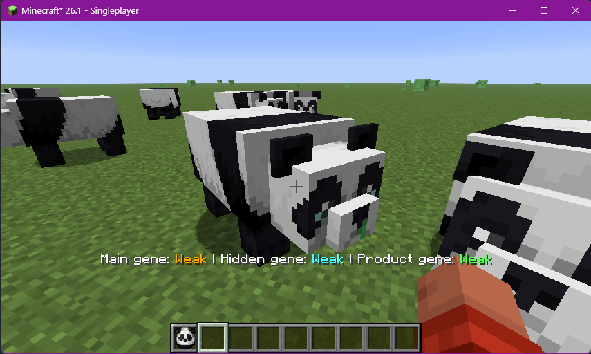 image-panda.png