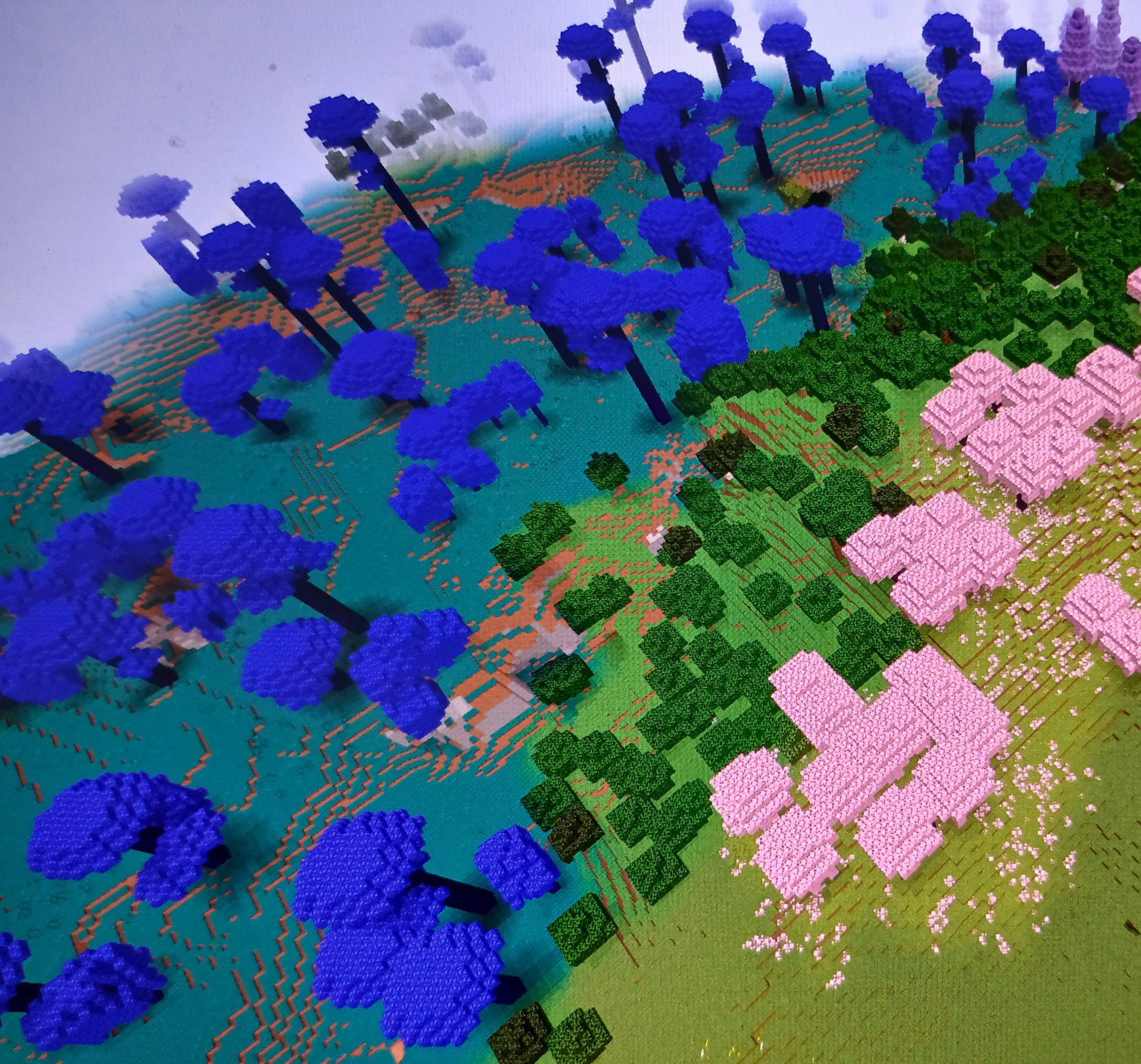 Caelum Forest next to a vanilla forest and cherry grove!