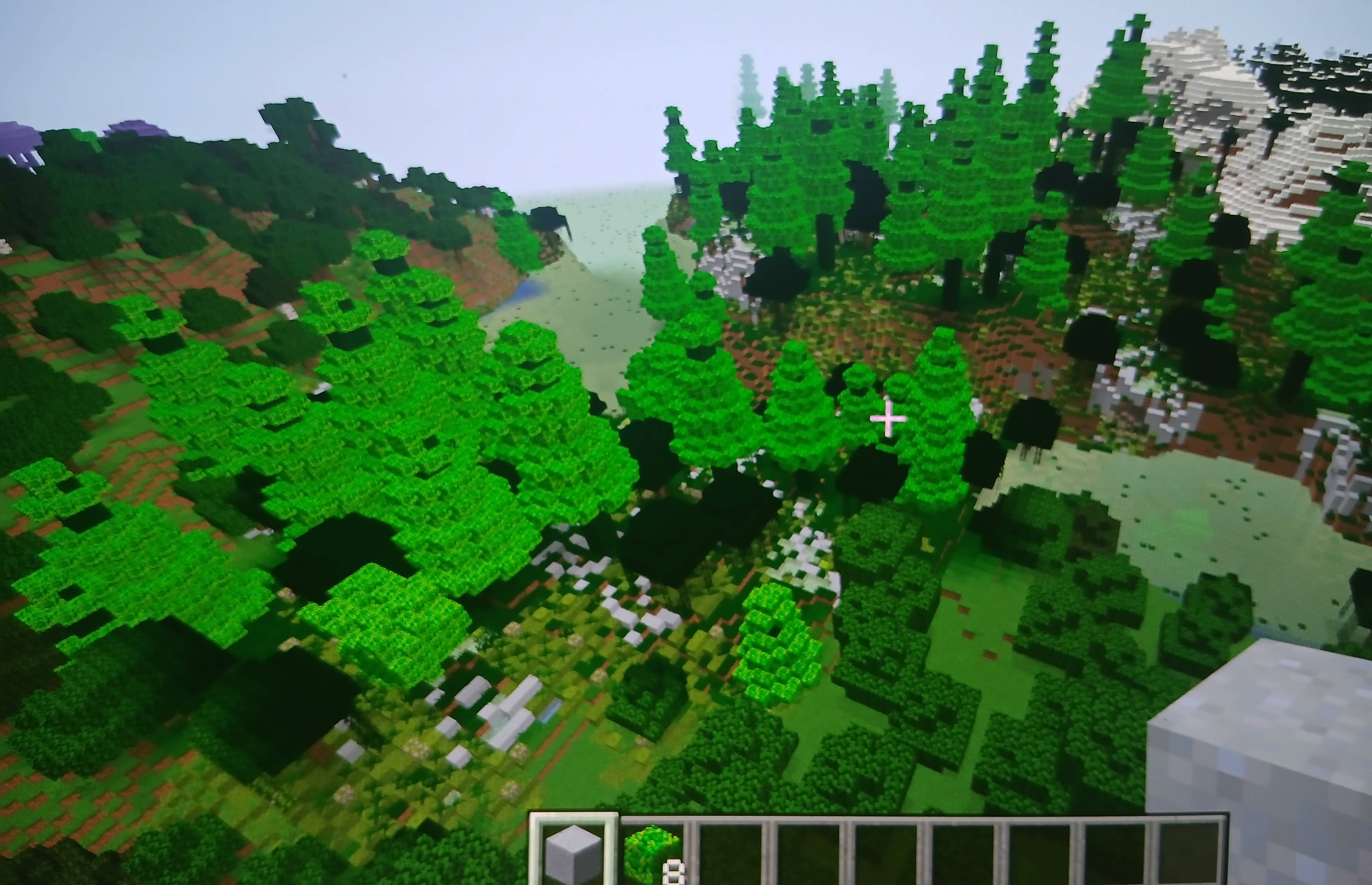 Akhdar Forest!
