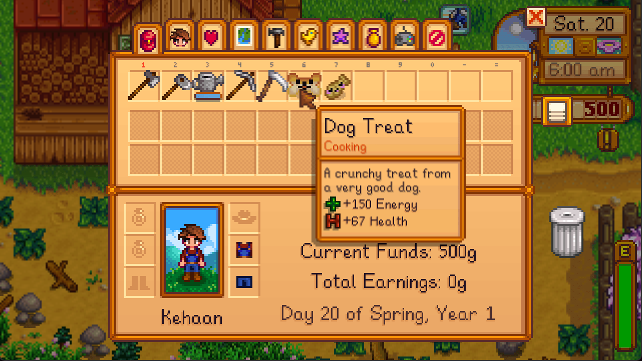 Dog Treat