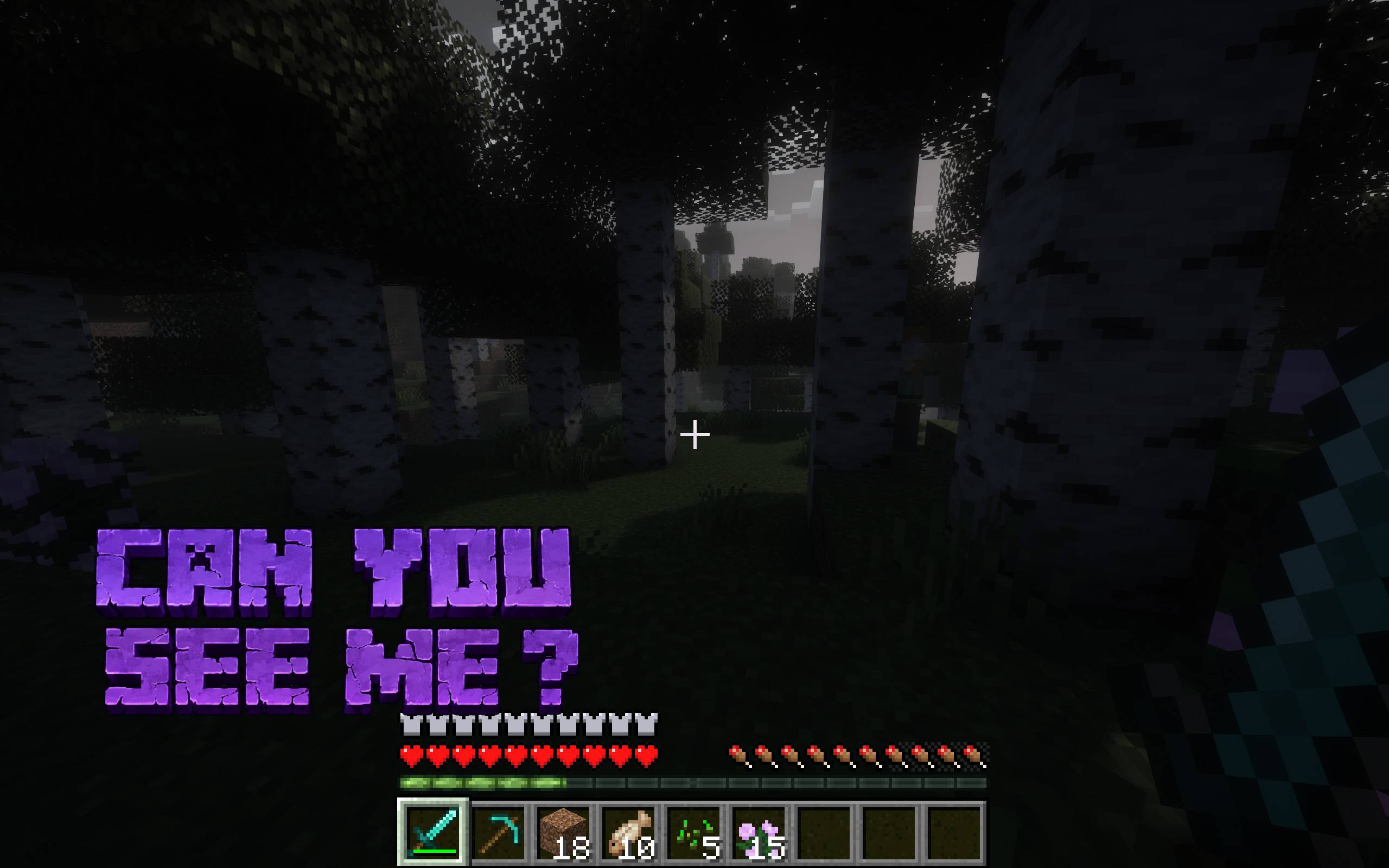 Can you see me.jpg