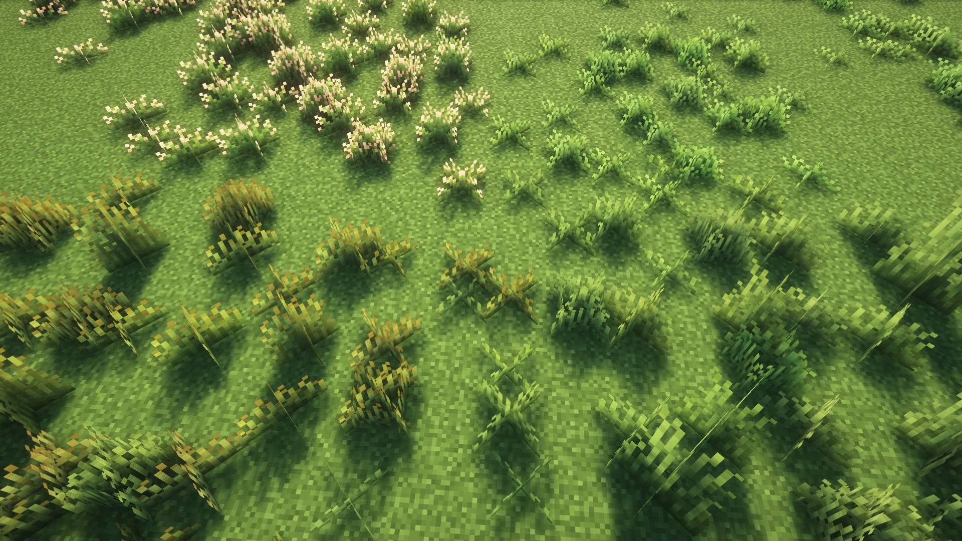Depending on the biome, red fescue, common bent grass and blue grass now grow alongside regular grass.