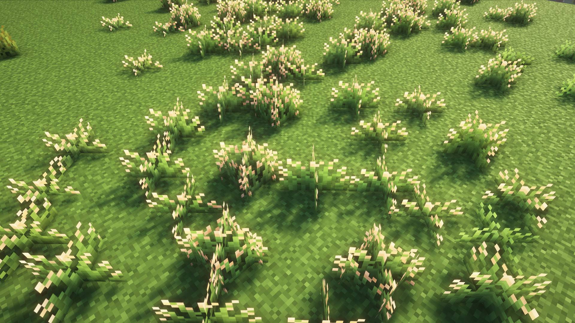 Common bent grass is most common in warm biomes.