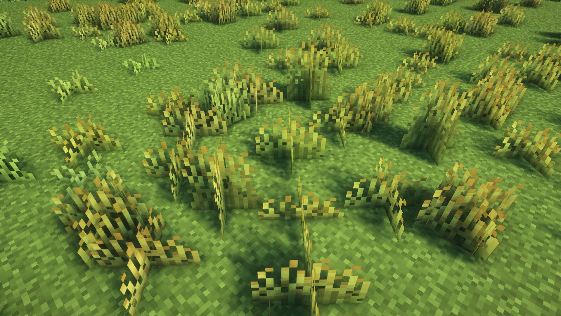 Red fescue can be found in all biomes that have grass, but it is most common in medium to warm biomes.