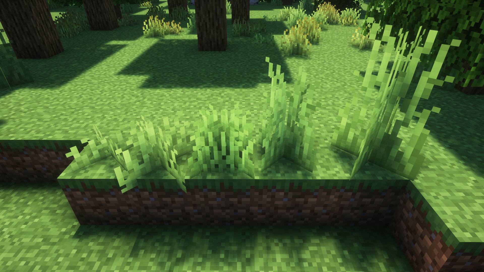 Grass now exists in more height variants, including very short grass, bushy grass and medium tall grass, in addition to short and tall grass.