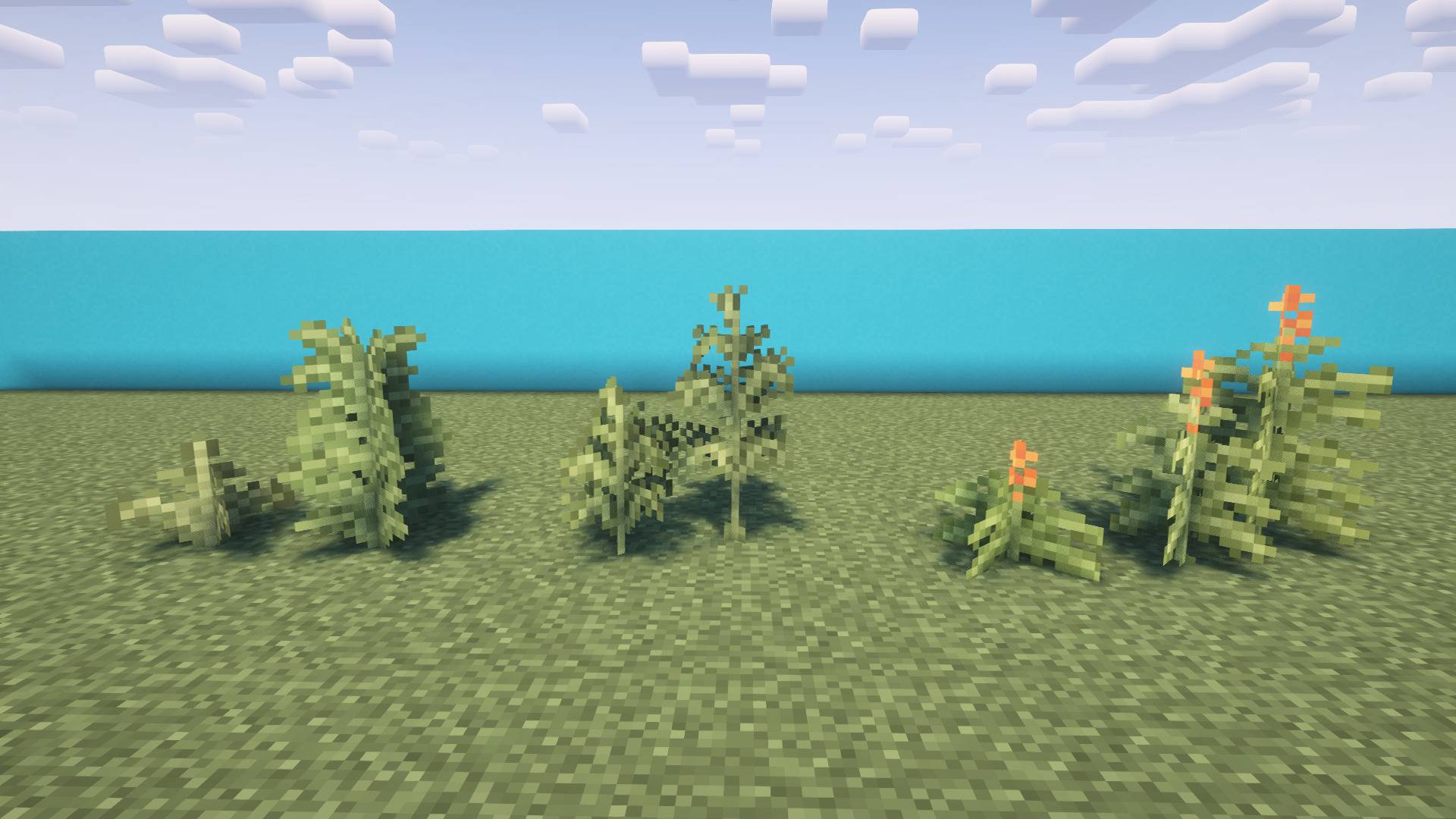 You can find eagle fern (medium and tall variants) alongside vanilla fern. Royal fern (short, medium and tall variants) grows separately and is more rare.
