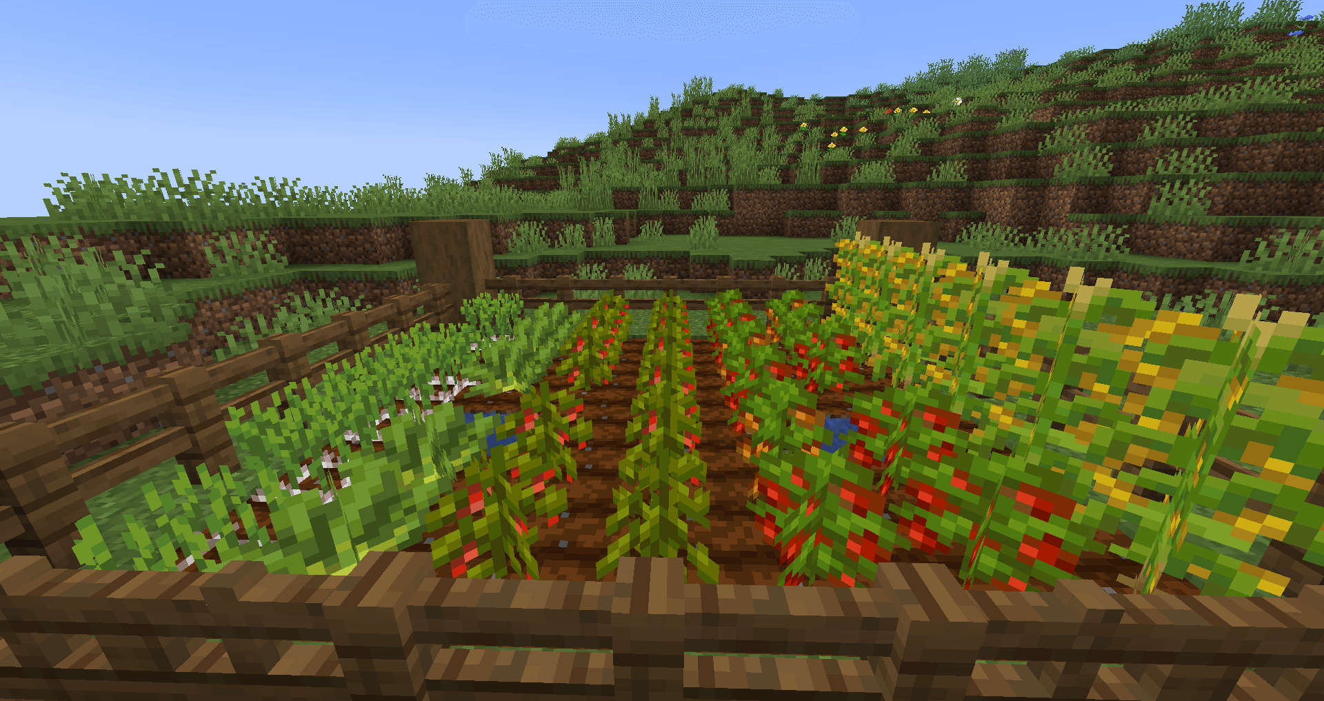 farm.png