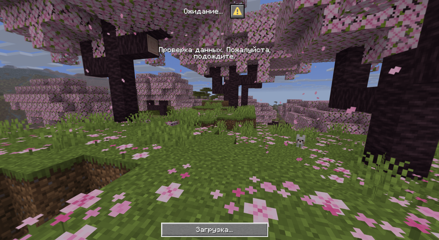 Connecting to the server